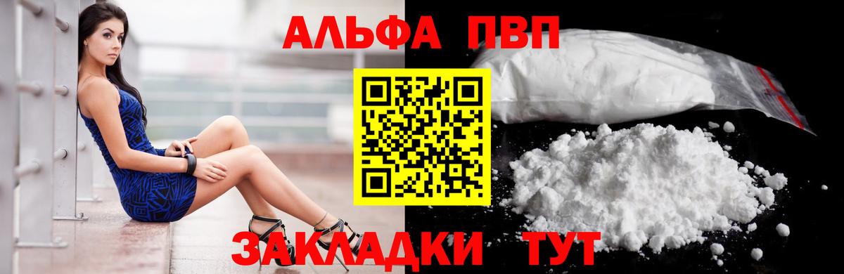 Альфа ПВП СК Петровск