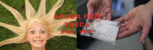 индика Надым