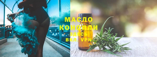 соль ск Нея
