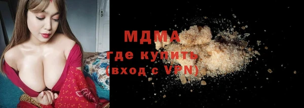 индика Надым