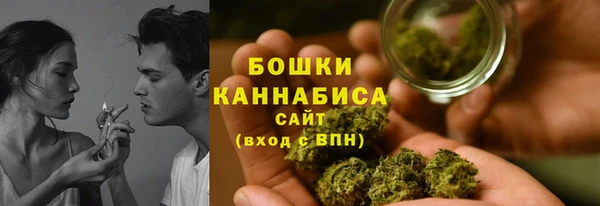 соль ск Нея