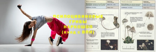 шишки Нефтегорск