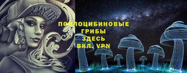 соль ск Нея