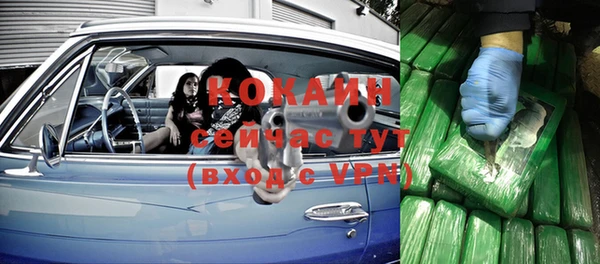 соль ск Нея