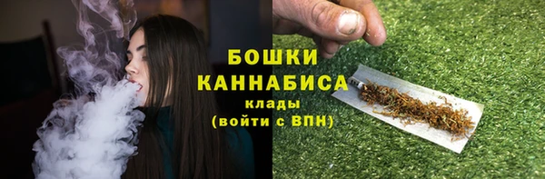 шишки Нефтегорск