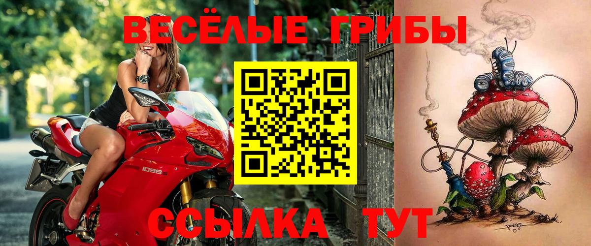 Псилоцибиновые грибы MAGIC MUSHROOMS  Петровск 