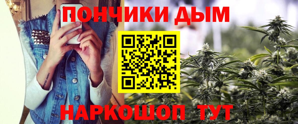 Петровск  Бошки марихуана семена  Вход с VPN  Каннабис конопля  Канабис сатива 